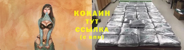 соль ск Балабаново