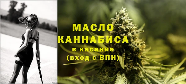 крисы Слюдянка