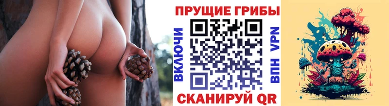 Галлюциногенные грибы Magic Shrooms  Назарово 